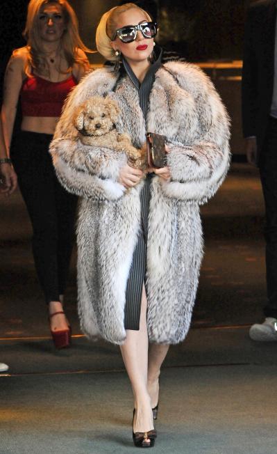 Gaga-wering-fur-Bulgary.jpg