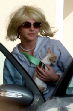 britney-wig2.jpg