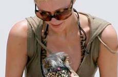 Paris Hilton viste a su perrito igual que ella
