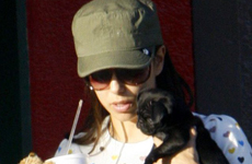 Eva Longoria compro un nuevo perrito