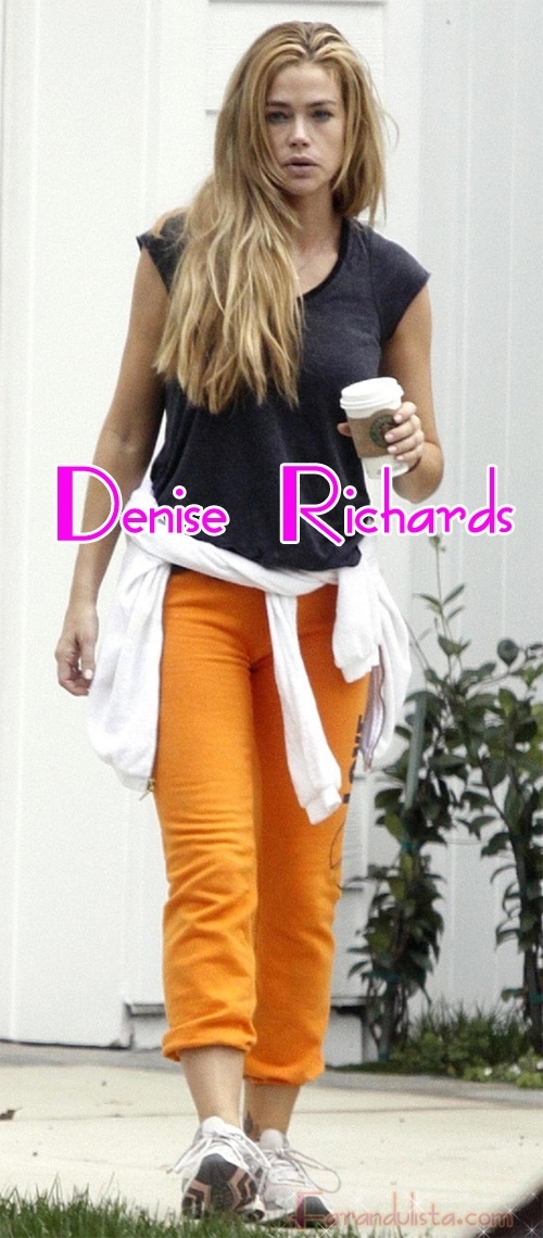 guess who denise richards
