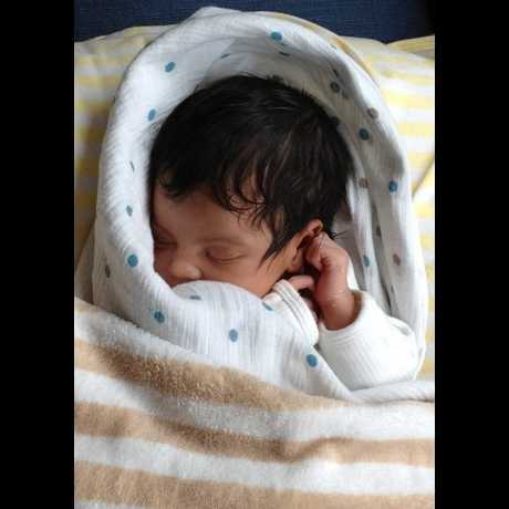 ivy carter beyonce conozcan primeras
