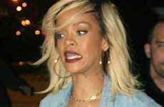Los fans de Rihanna asustan a la novia de Chris Brown?