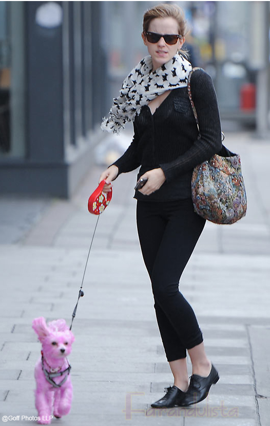 Emma Watson walking pink puppy