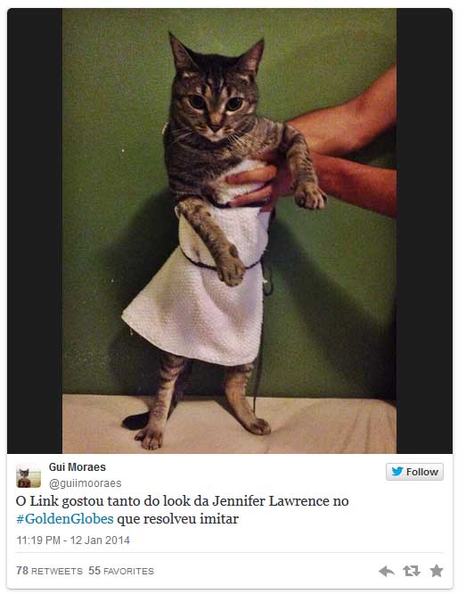 cat wearing JLaw GG dress