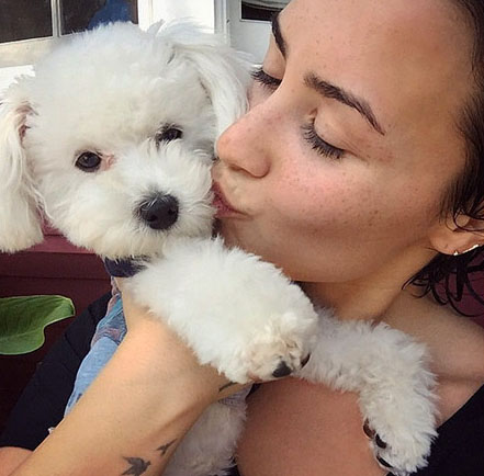 Demi lovato dog buddy