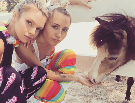 miley cyrus stella maxwell pony