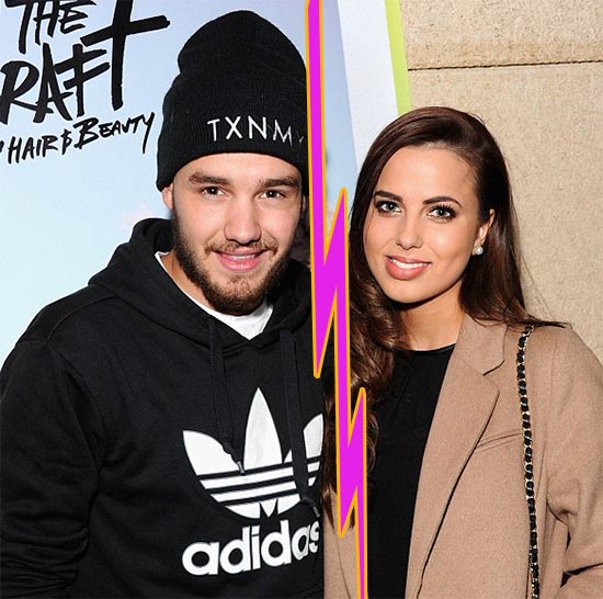 1d liam payne sophia smith terminan