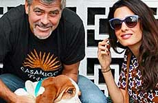 George Clooney y Amal adoptan un perro!