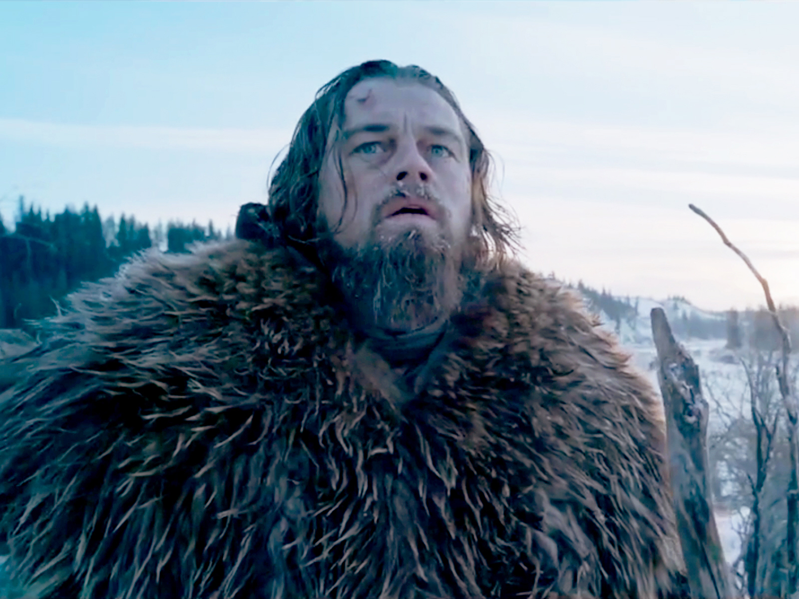 leo dicaprio the revenant