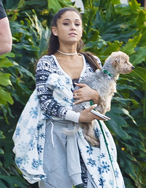 ariana grande walking with puppy