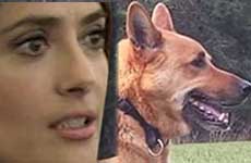 Un vecino mata al perro de Salma Hayek
