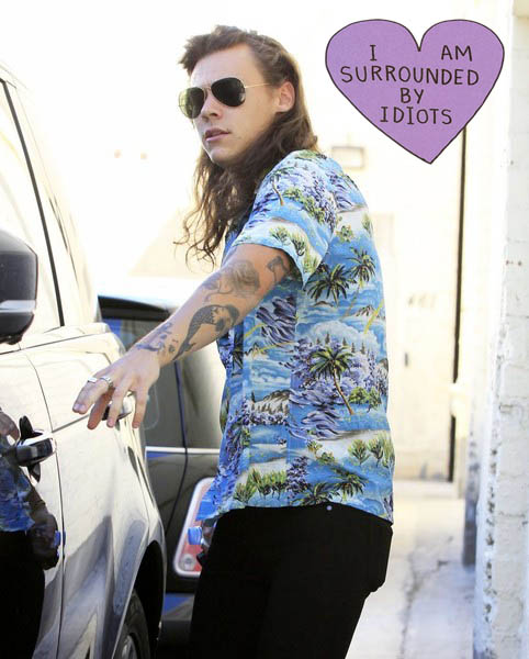 Harry Styles Shopping Beverly