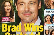 Brad Pitt gana la custodia (InTouch)