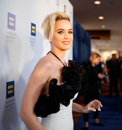 Katy Perry Human RightsCampaign 2017