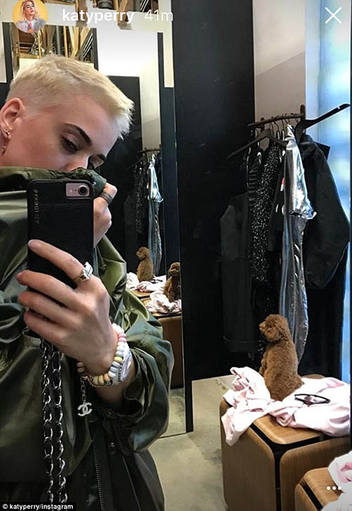 katy perry new cut insta