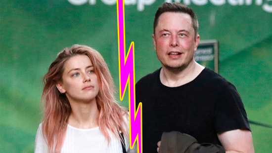 amber heard elon musk together