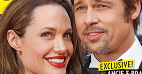 El divorcio de Brad y Angelina en el limbo? (Us)