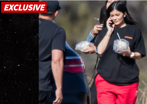 kylie preggo pics