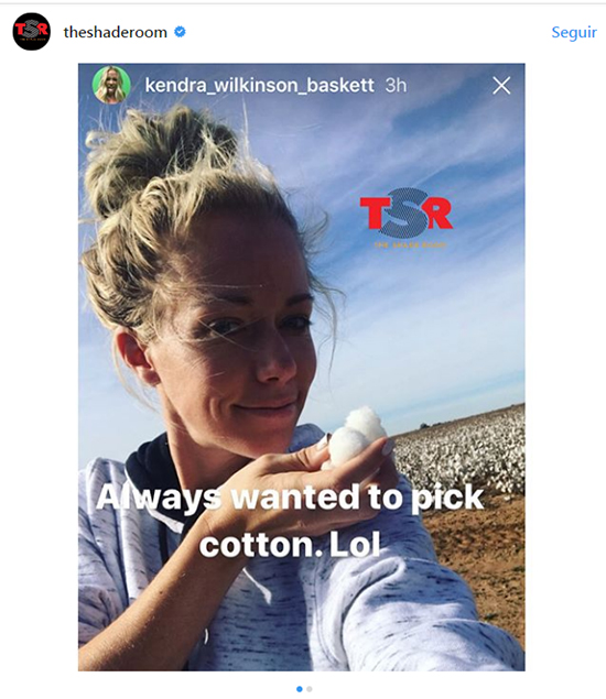 kendra cotton shade room