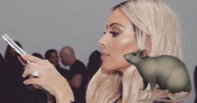 Fans de Taylor Swift van tras Kim Kardashian con emojis de ratas