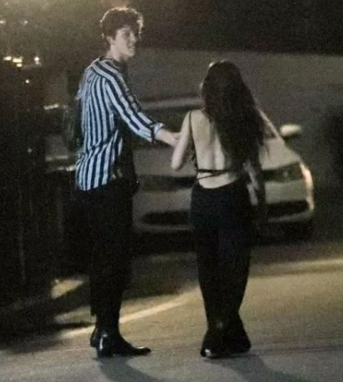 camila cabello shawn mendes juntos