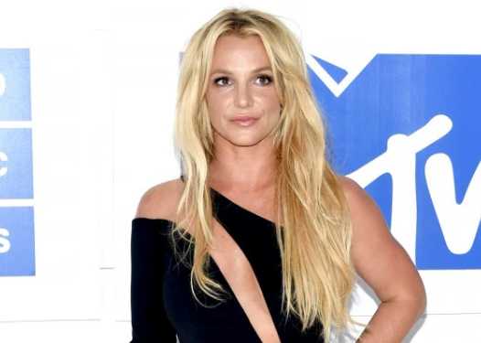 britney pelea por sus hijos