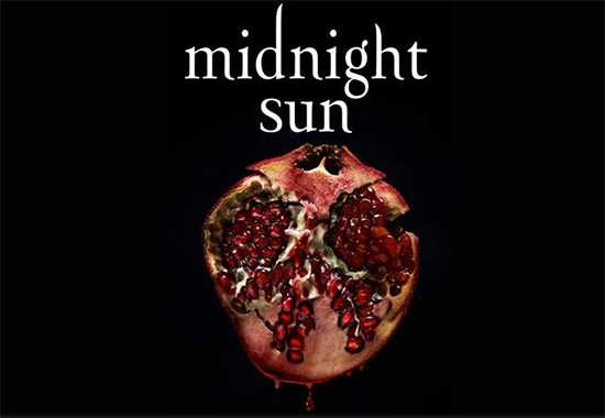 midnight sun book