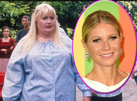 gwyneth paltrow shallow hal