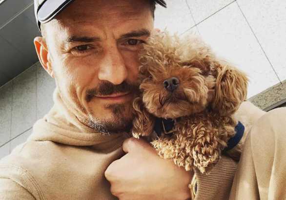 orlando bloom perdio perrito mighty