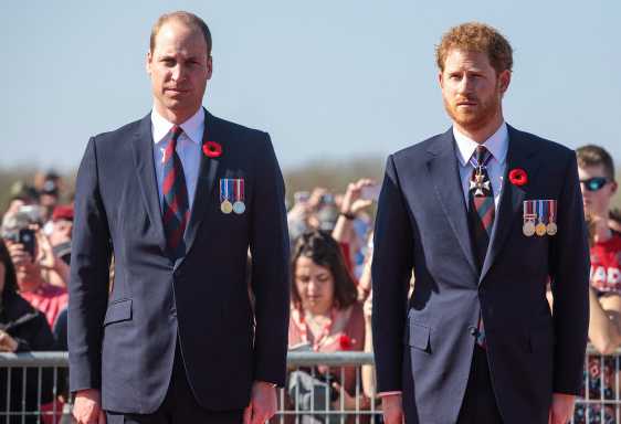 principe william principe harry