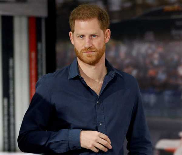 prince harry new job