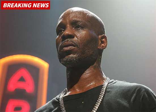 dmx rip