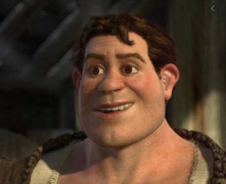 Shrek humano