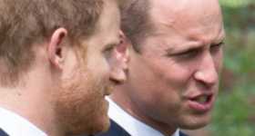 William y Harry reunidos en la inauguración de la estatua de Diana