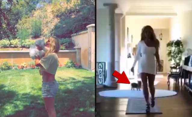 Britney con sus perritos