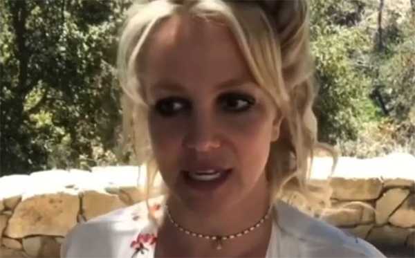 Los perritos de Britney estaban muy enfermos uno casi muriendo