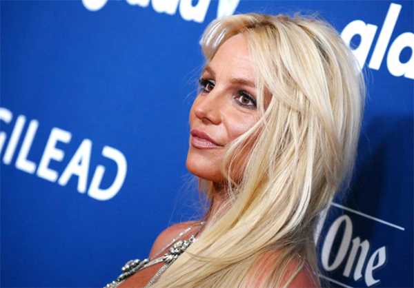 britney spears se peleo por sus perritos