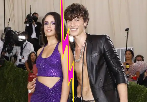 Camila Cabello y Shawn Mendes terminaron... lloremos