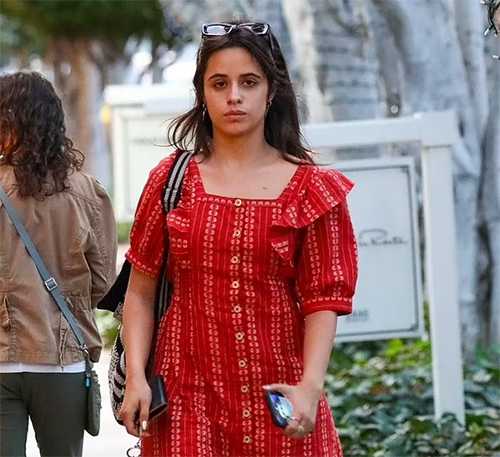 camila shopping reddress