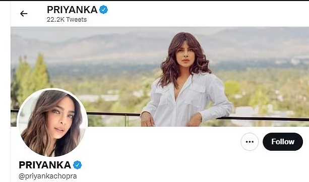 Priyanka Chopra quita el apellido Jonas de sus redes DRAMA!!!