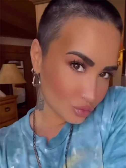 Demi Lovato se rapó la cabeza para un nuevo comienzo