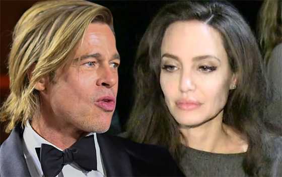 Brad Pitt demandó a Angelina por vender su parte de Chateau Miraval