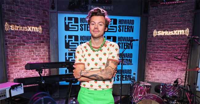 Harry Styles habla de sus escenas de desnudo