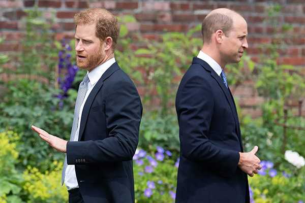 Harry y Meghan despreciados por miembros de la realeza