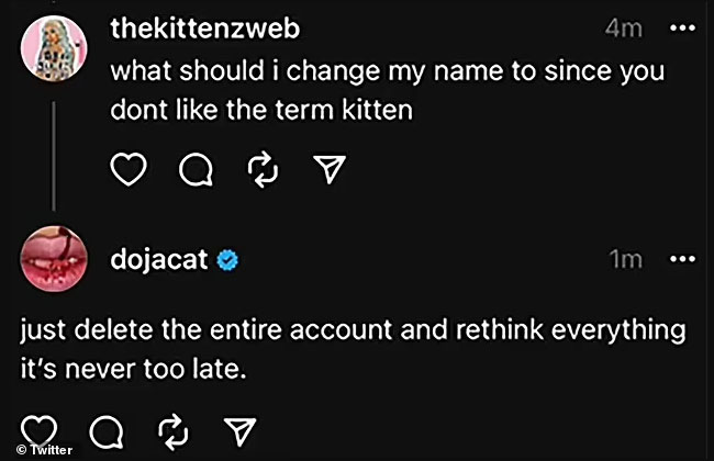 dojacat tweets