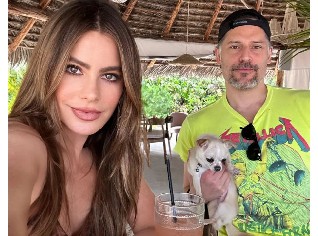 Por qué se divorcian Sofia Vergara y Joe Manganiello?