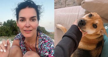 Angie Harmon dice que un repartidor disparó y mató a su perro