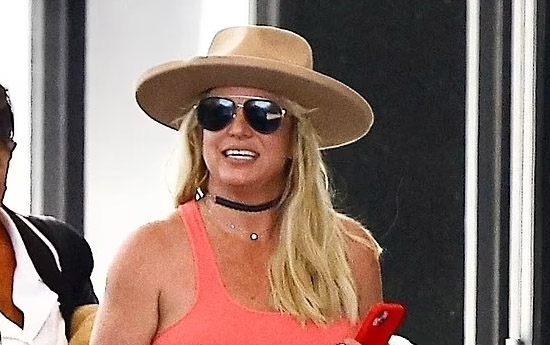 Britney Spears habló con sus hijos