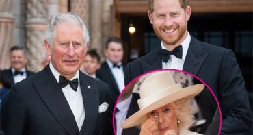 Harry se reunió con el Rey Charles pero Queen Camila no lo perdonará tan fácilmente